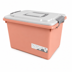 Storage bin with locking lid