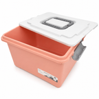 Storage bin with locking lid