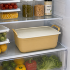 Storage Box with Lid