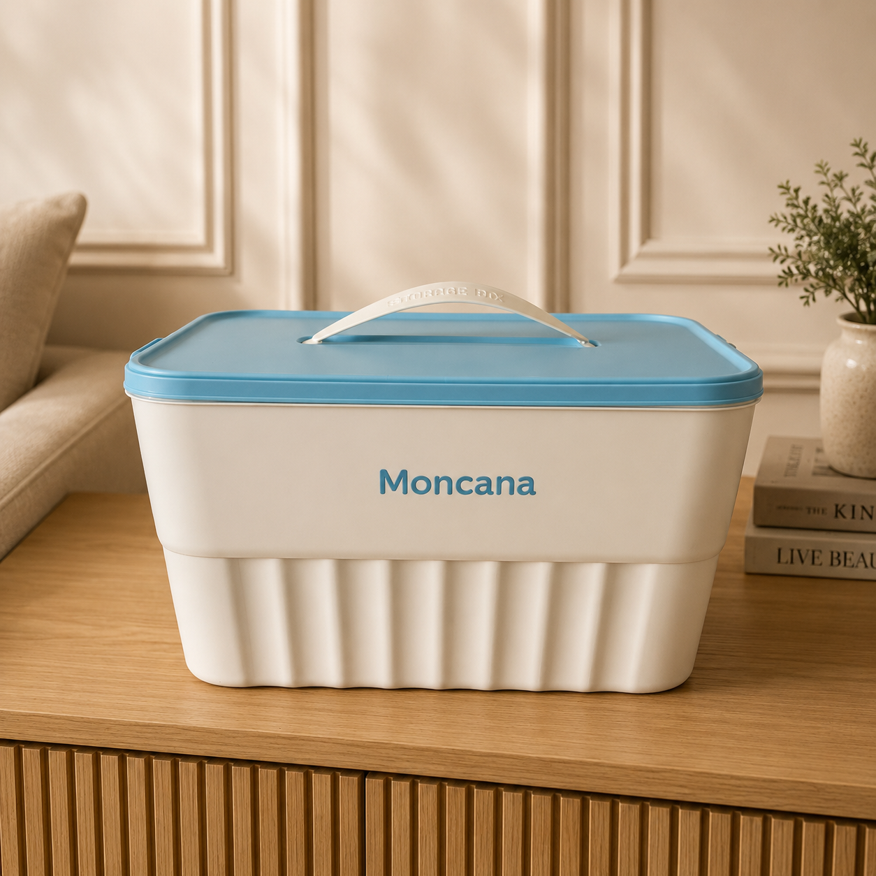 Moncana Storage Box