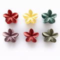 Hawaii Matte Clips