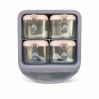 Wall Mounted Kitchen Organizer