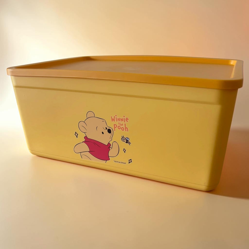 Kids Cartoon Storage Box with Lid - Medium