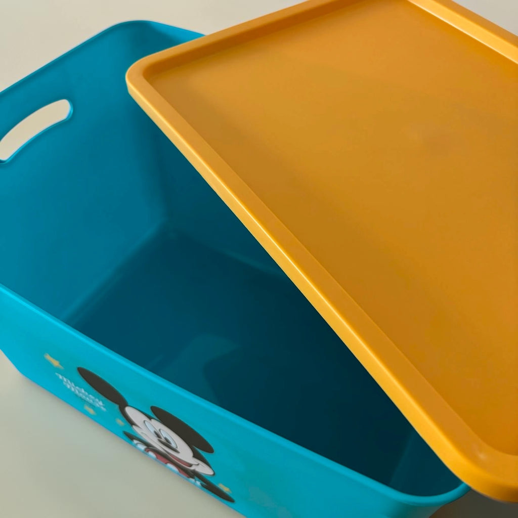 Kids Cartoon Storage Box with Lid - Big