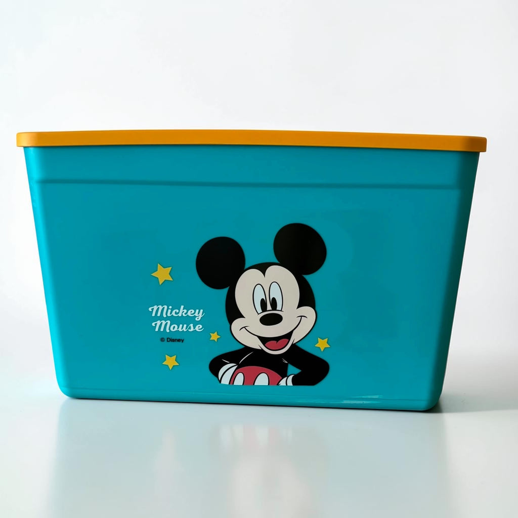 Kids Cartoon Storage Box with Lid - Big