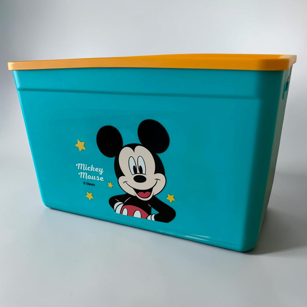 Kids Cartoon Storage Box with Lid - Big