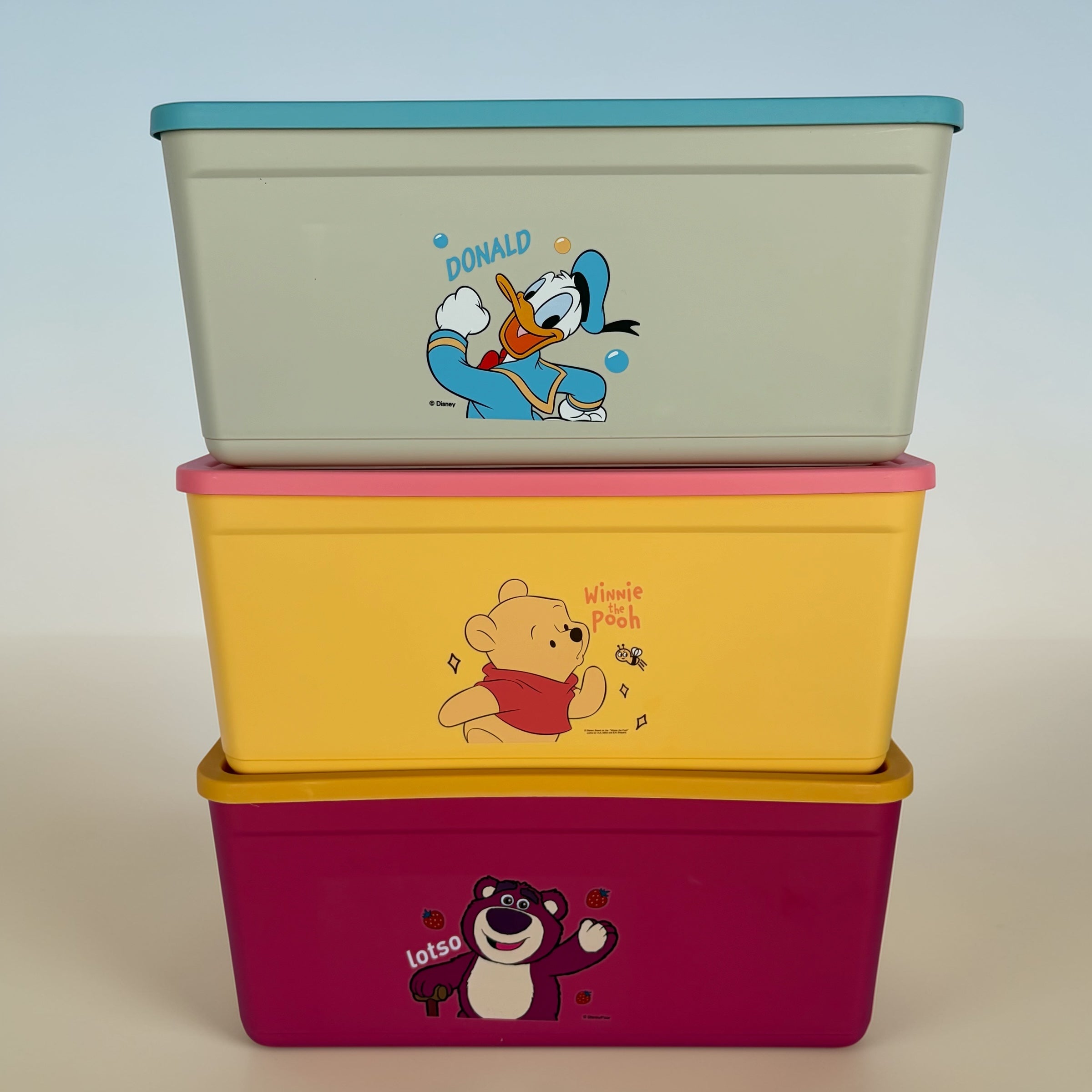 Kids Cartoon Storage Box with Lid - Small