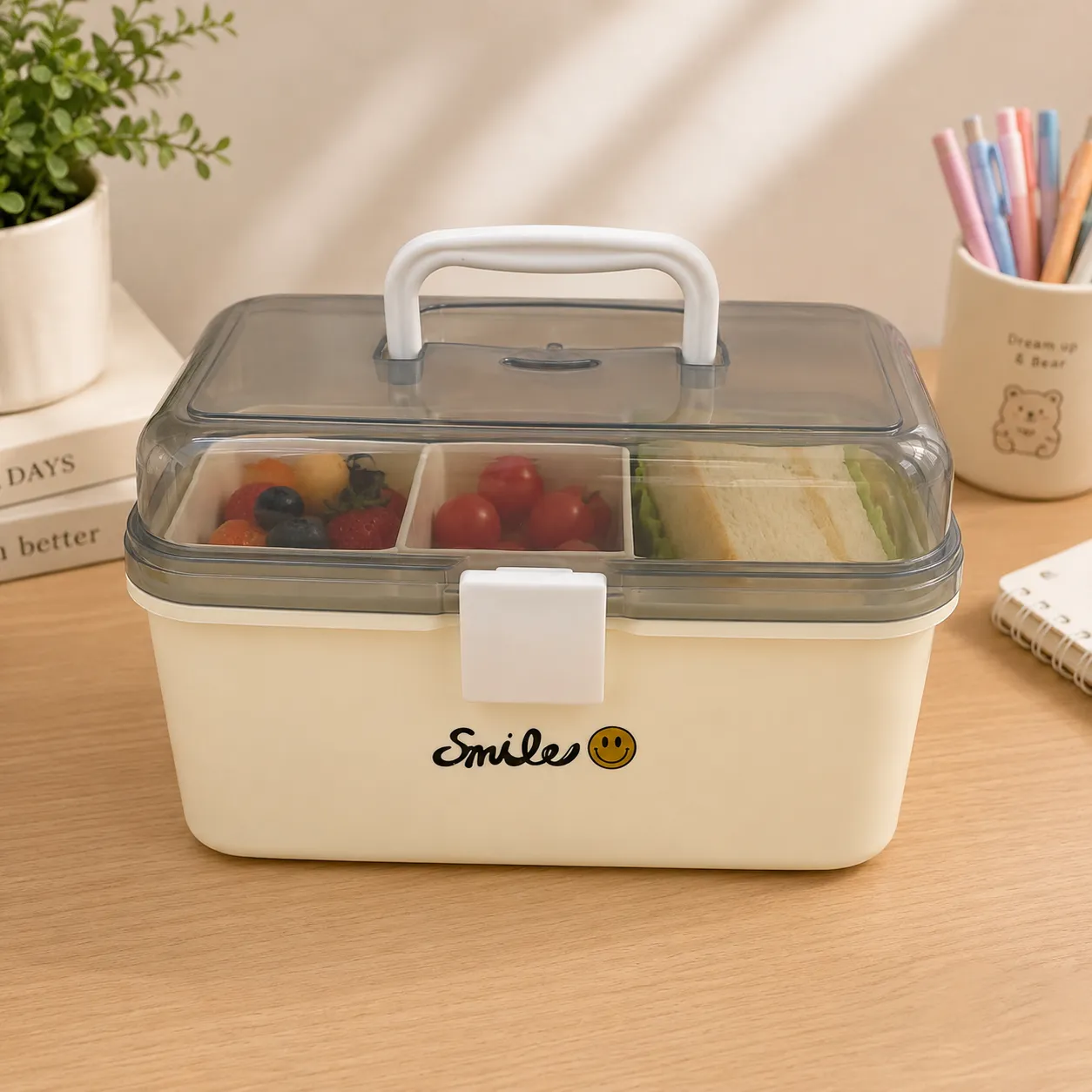 Smile Storage Box 2
